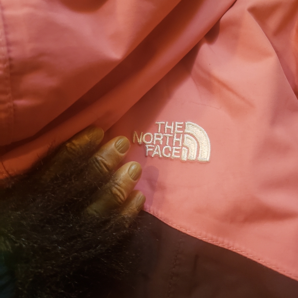 The North Face Jacket - image 3